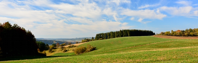 landschaft wald wiese wander