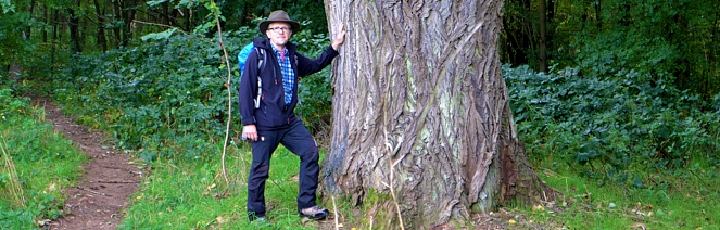 wander saarland wanderführer baum